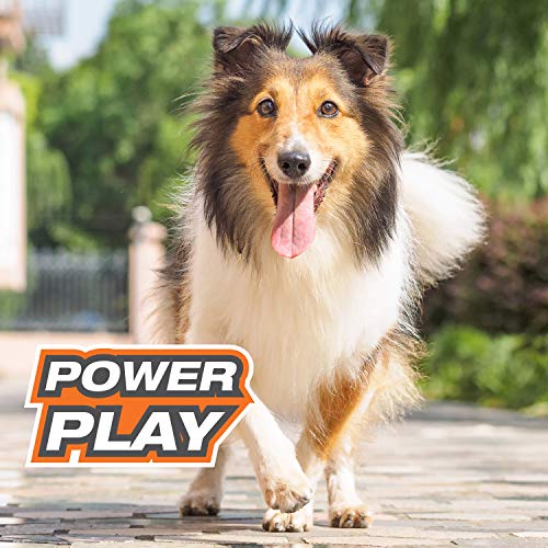 Nylabone Power Play Gripz, durabilidad segura para sesiones largas