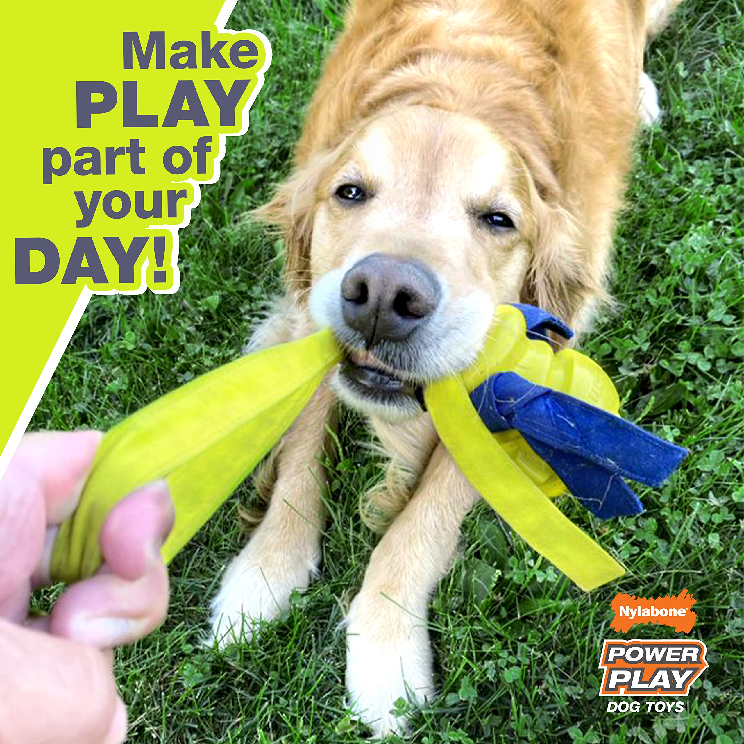 Nylabone Power Play Gripz, rebote divertido para juego variado