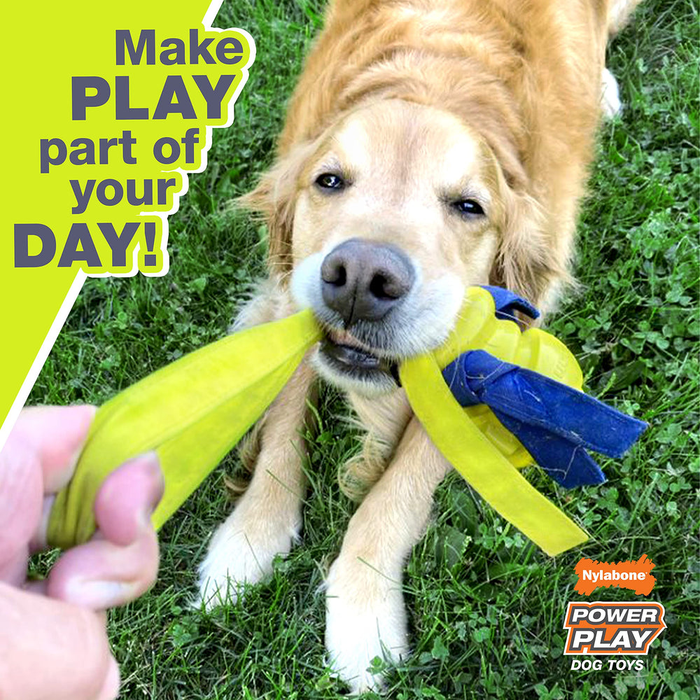 Nylabone Power Play Gripz, rebote divertido para juego variado