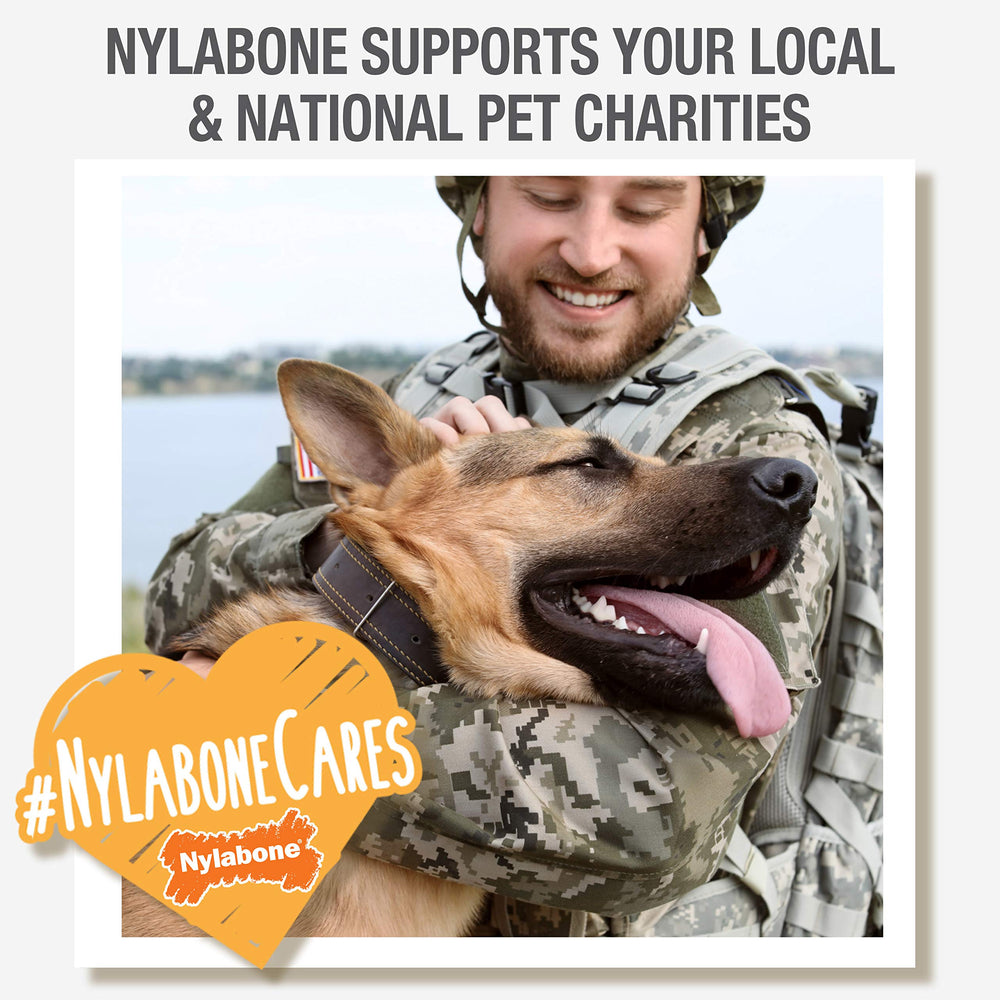 Nylabone PRO Action Durabilidad nylon, juego prolongado y resistente.