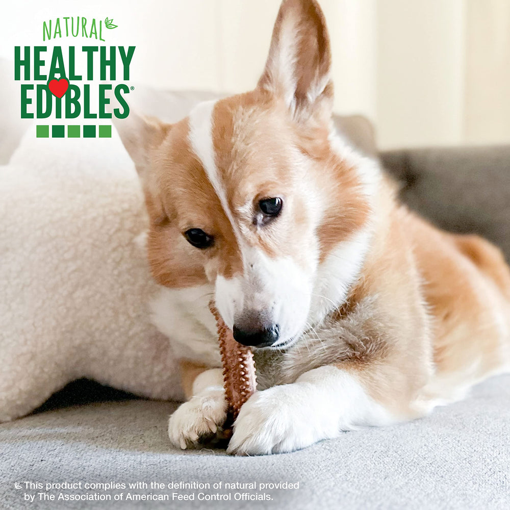 Nylabone protuberancias dentales, para limpieza al masticar y cuidado dental
