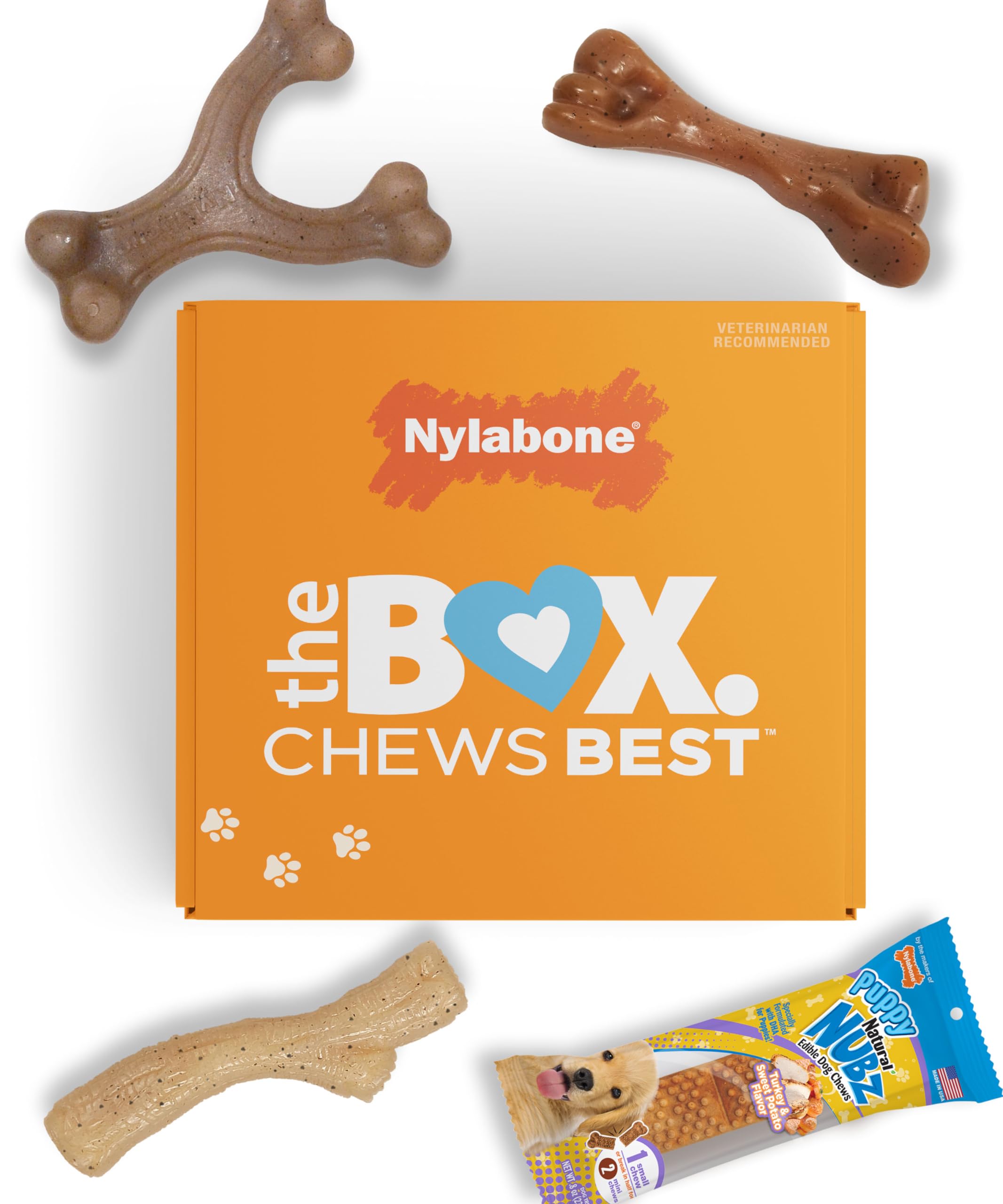 Nylabone Puppy Gift Box: stick chew con textura de corteza para cachorros.