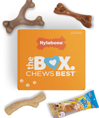 Nylabone Puppy Gift Box: stick chew con textura de corteza para cachorros.