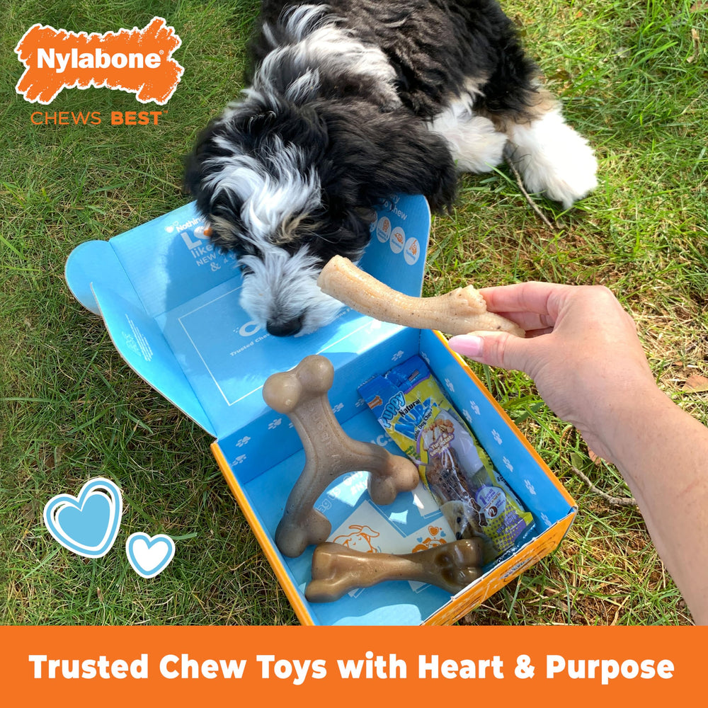Nylabone Puppy Gift Box: juguete tipo wishbone para masticar de forma cómoda.