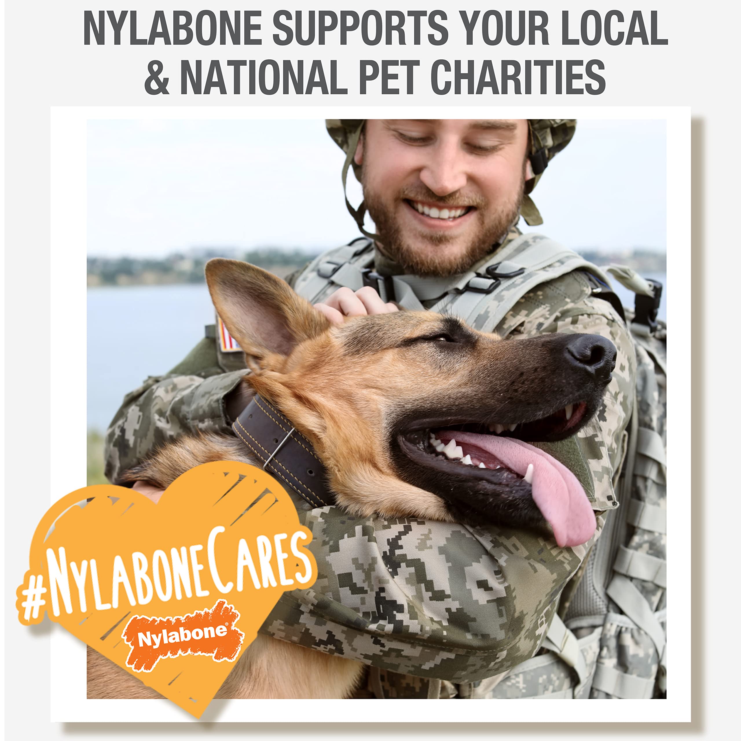 Nylabone recomendado-por-veterinarios: mordedor confiable para cachorros.
