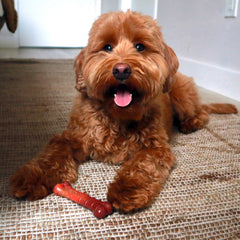 Nylabone Power Chew sabor jerky, sabor irresistible durante la masticación.
