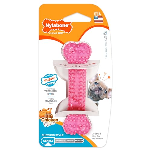 Nylabone sabor pollo mordedor cachorros: sabor agradable que canaliza la masticación