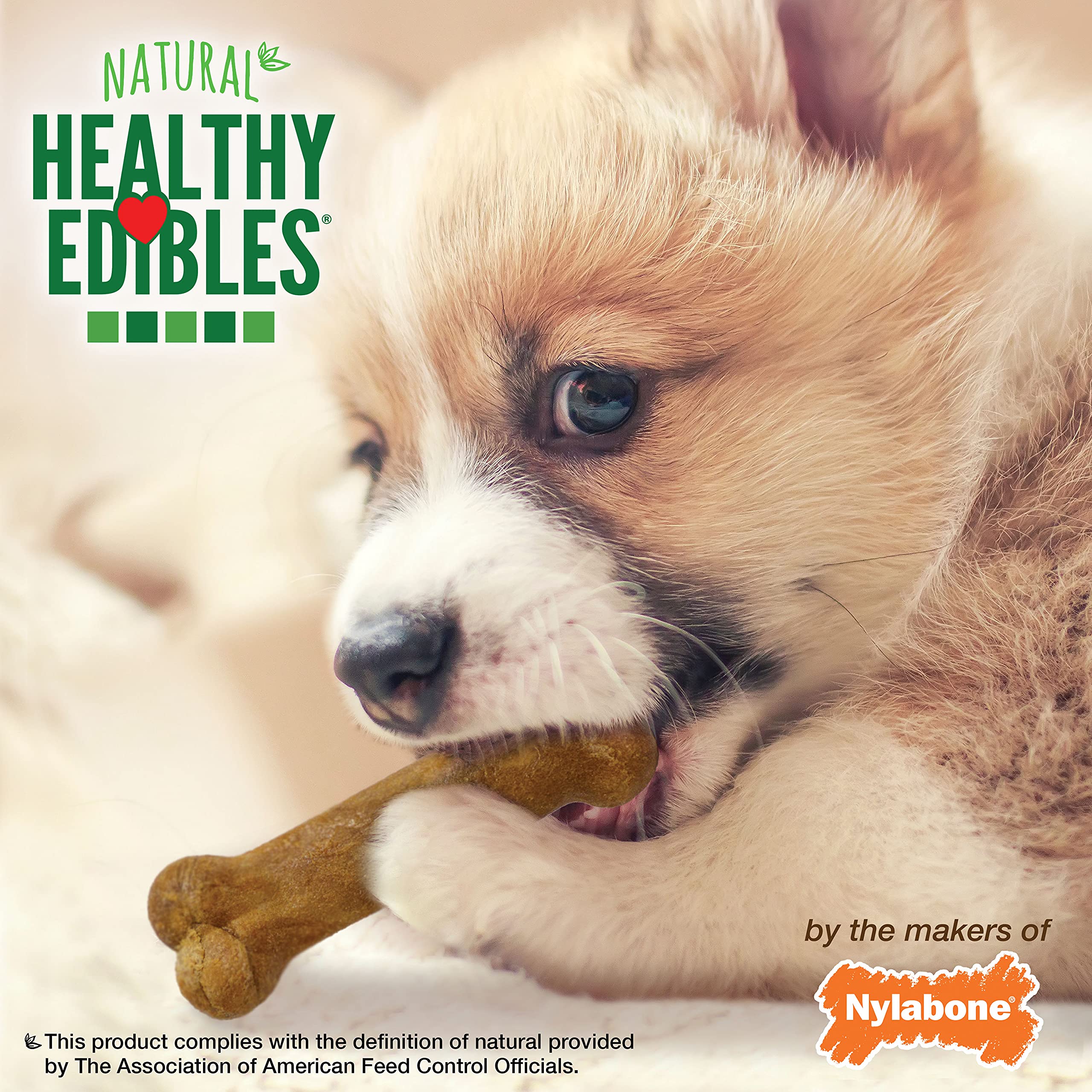 Nylabone comestibles saludables, sabor ternera asada, diseño apto para mordidas suaves.