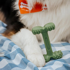 Nylabone Easy-Hold ofrece texturas dentales múltiples para limpieza suave durante el juego.