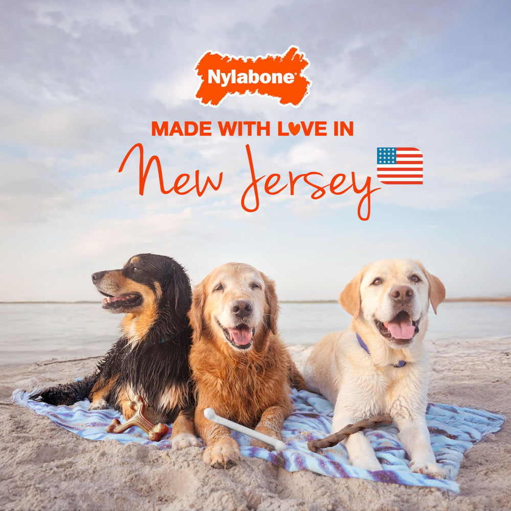 Nylabone Made in USA wishbone encourages healthy chewing habits.