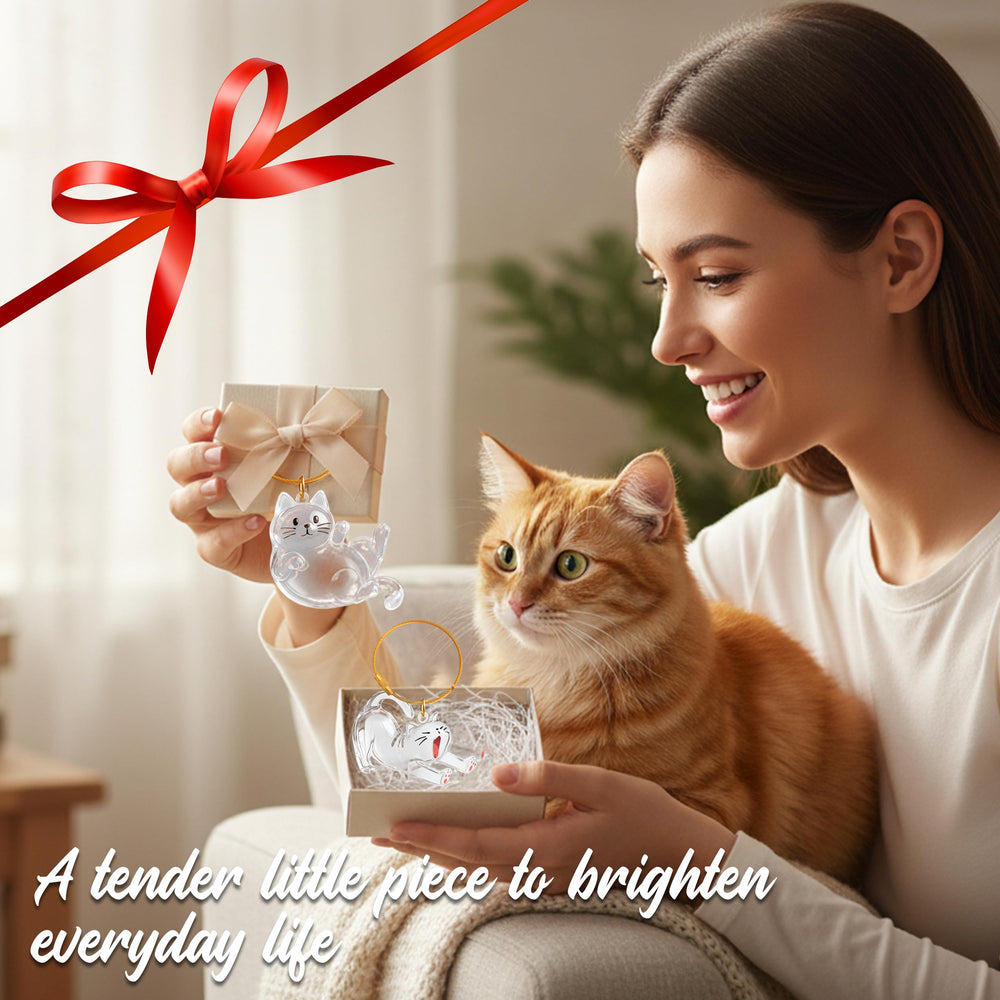 OGNWFUNK regalo sentimental pelo gato, opción conmemorativa