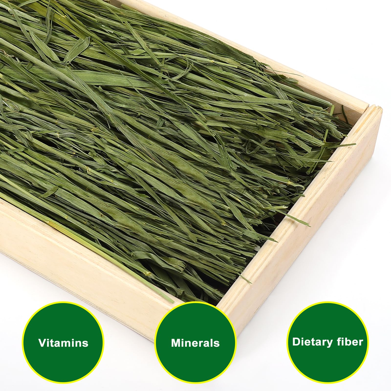 Ohcool conejos disfrutando heno de avena para digestión suave