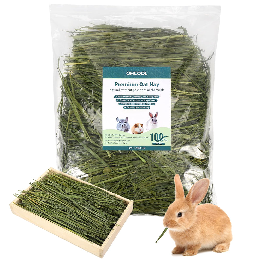 Ohcool heno de avena: fibras naturales para mascotas sanas