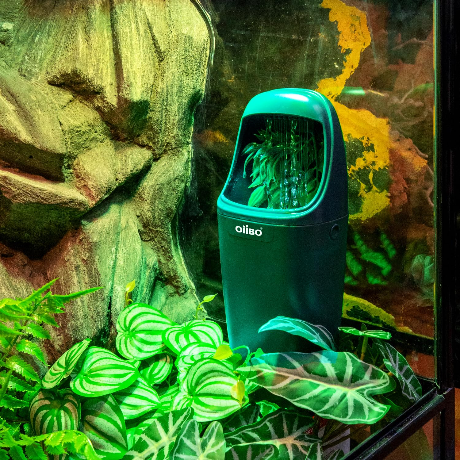 Oiibo bebedero reptil chorro suave ideal para geckos
