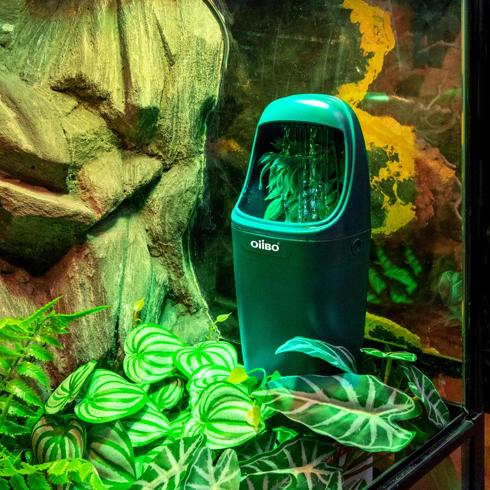 Oiibo bebedero reptil chorro suave ideal para geckos