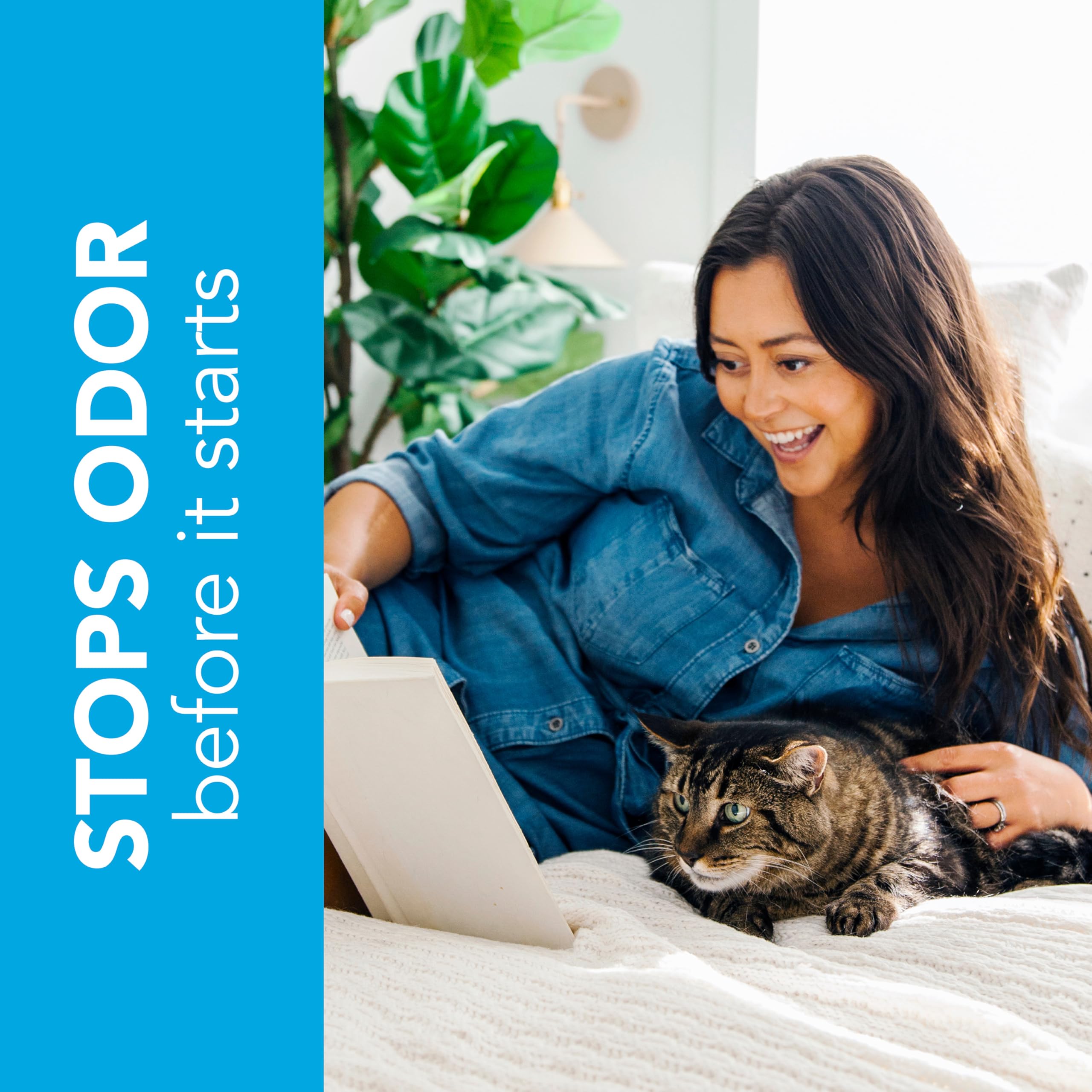 okocat sin polvo: ambiente limpio sin polvo en suelo ni aire