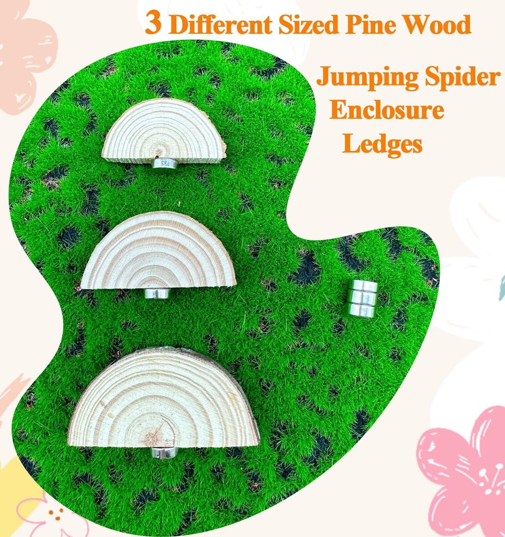 Okueejur conjunto de repisas de pino natural, ofrece superficie segura para subir y explorar.