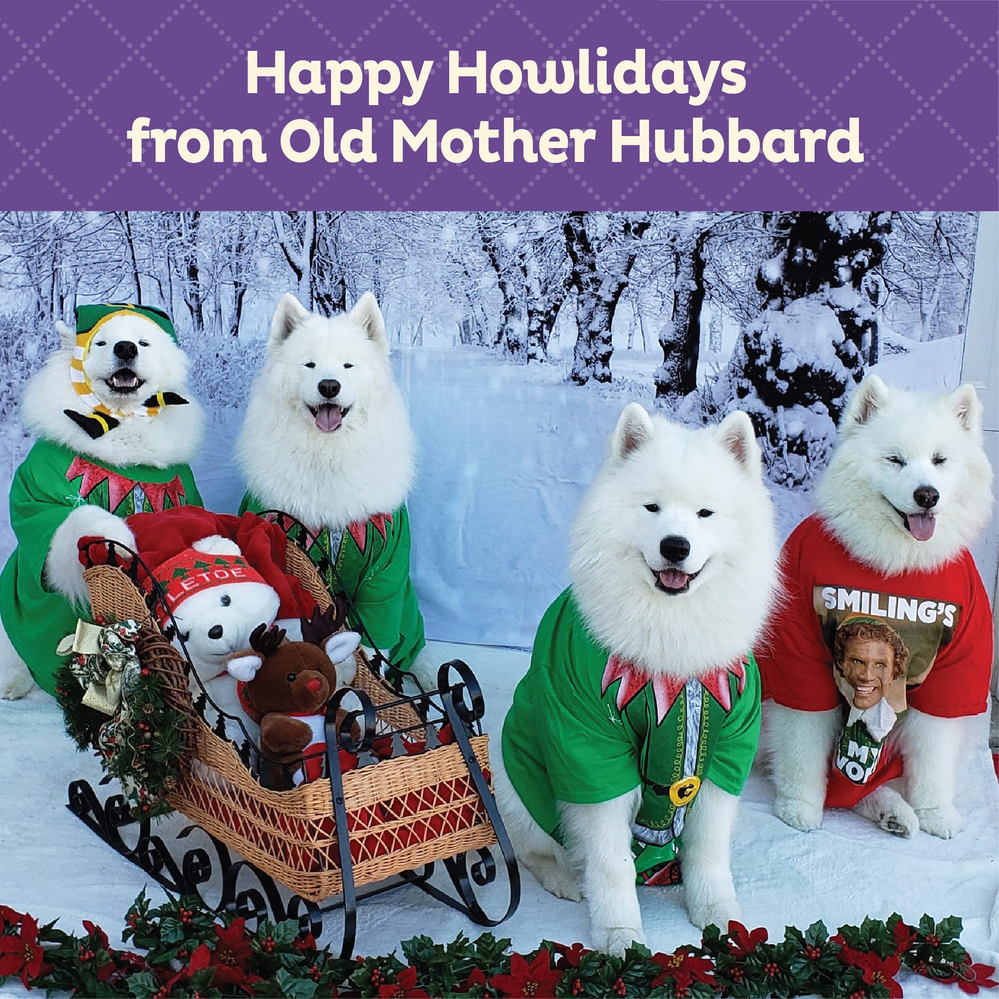 Galletas crujientes naturales de Old Mother Hubbard para perros