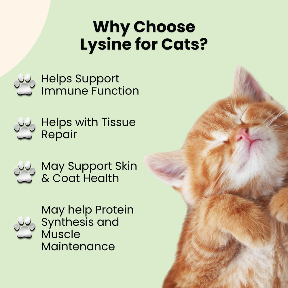 Dosis líquida con alta absorción para gatos con L-Lisina de Oliver & Co.