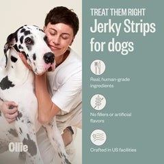 Ollie Jerky pollo y manzana, ingredientes fáciles de pronunciar.