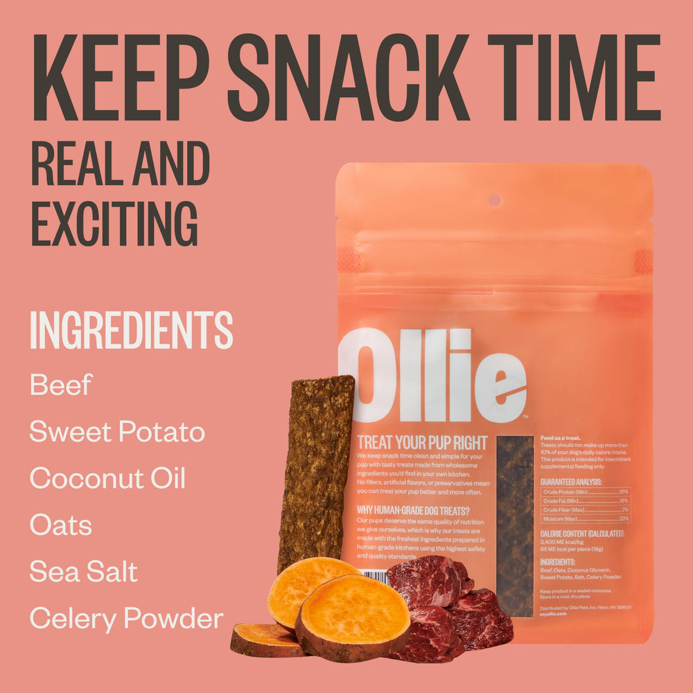 Ollie Jerky treat closeup shows tender beef pieces ideal for training rewards.