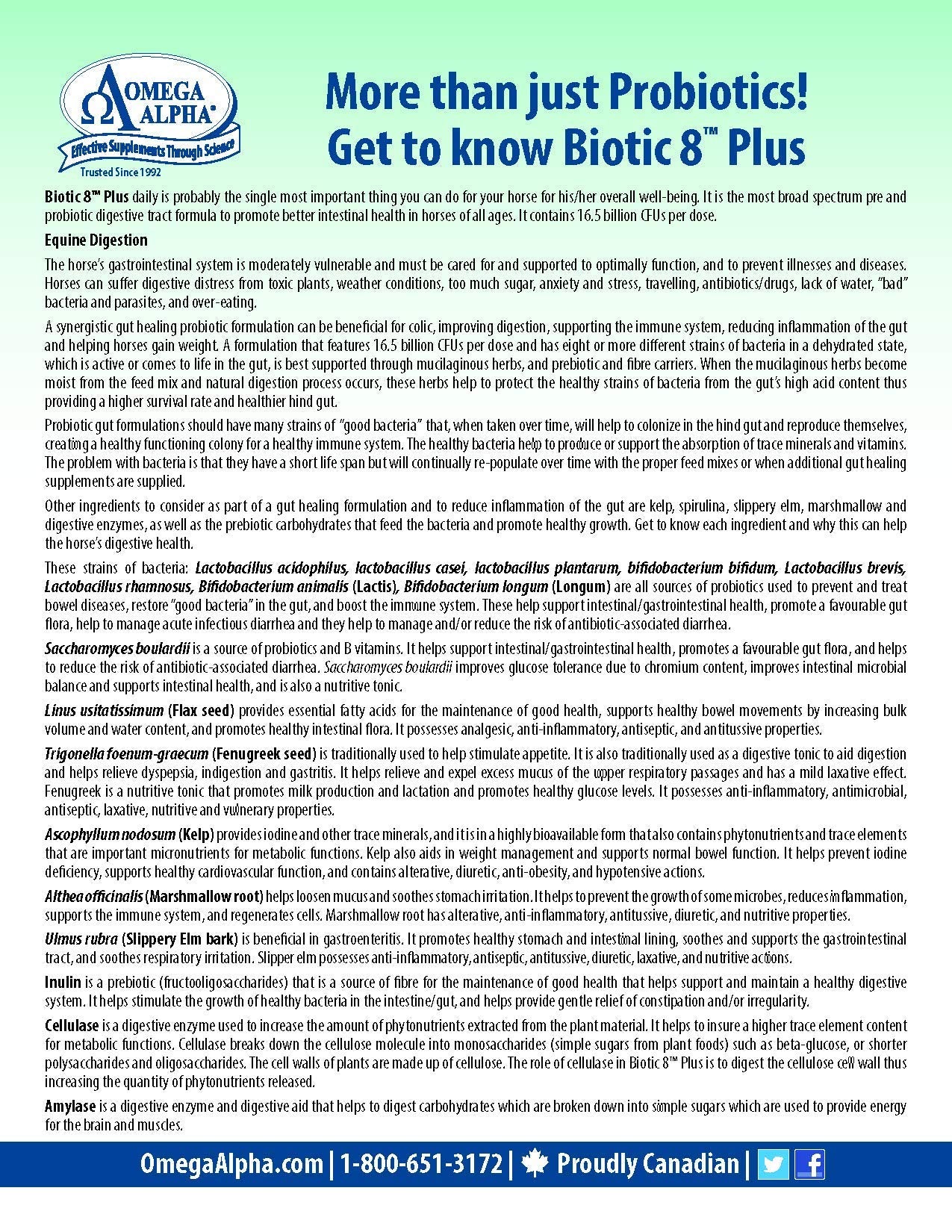 Omega Alpha Biotic 8: etiqueta y empaque que destacan enzimas y micronutrientes para apoyar la digestión.