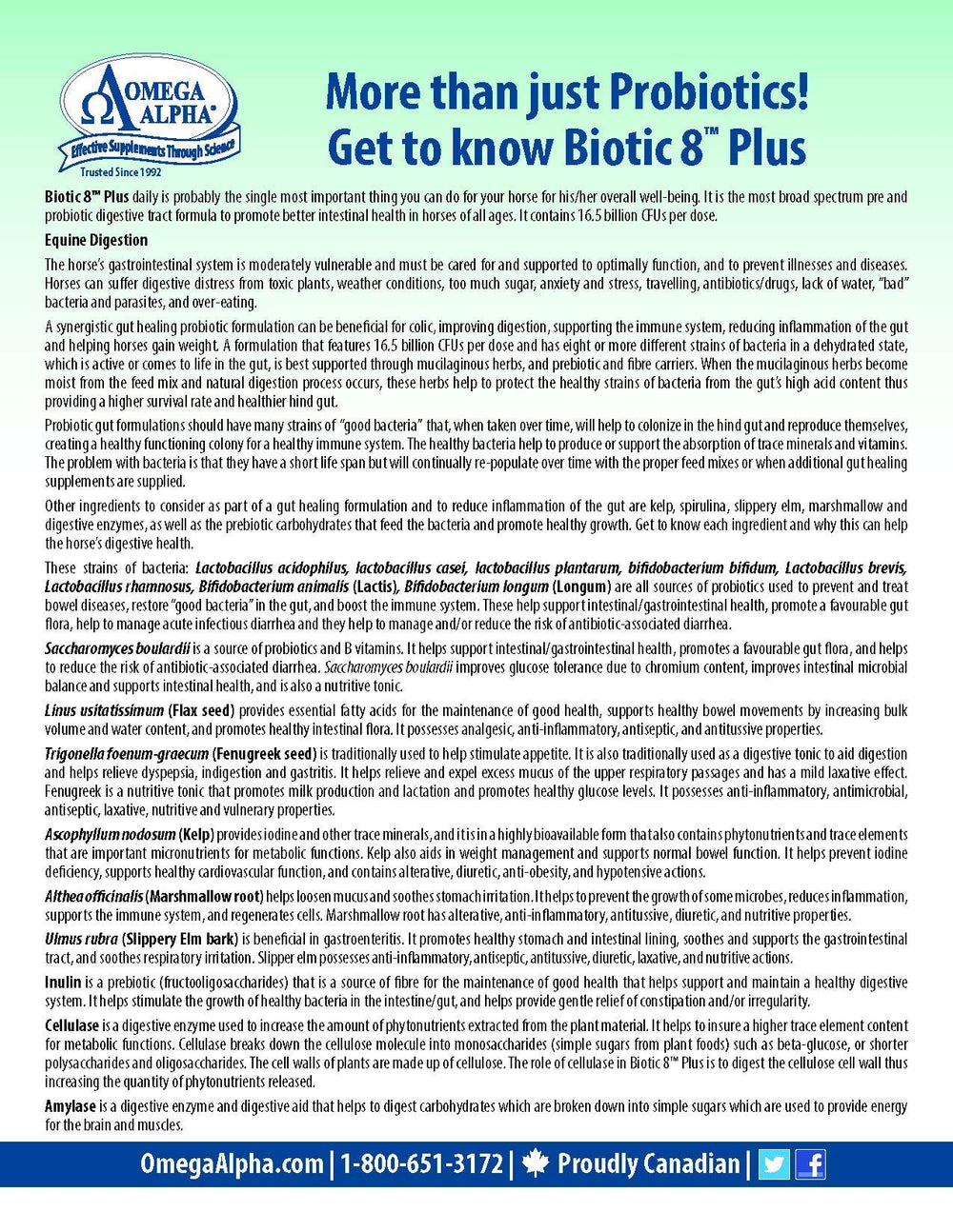 Omega Alpha Biotic 8: etiqueta y empaque que destacan enzimas y micronutrientes para apoyar la digestión.