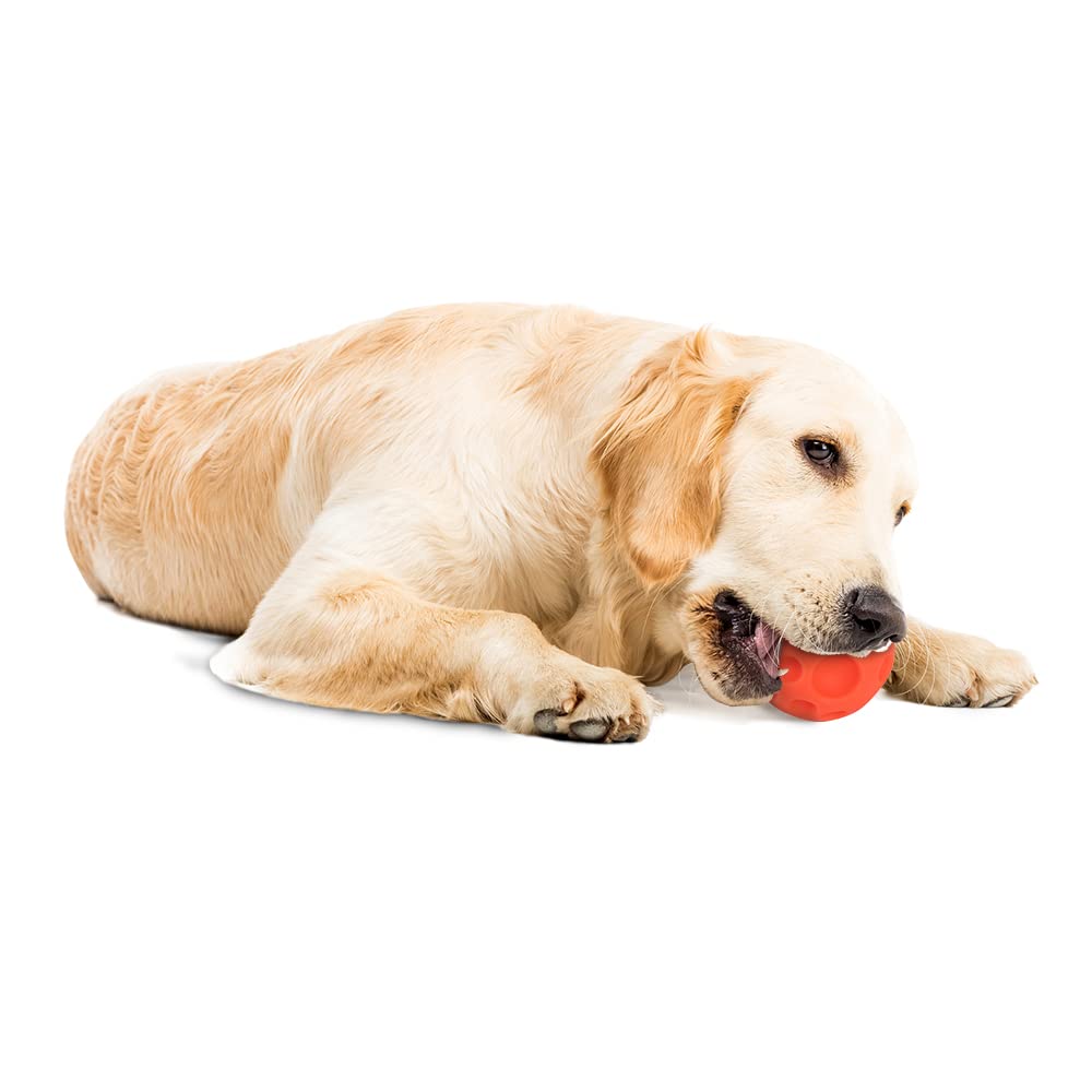 Omega Paw bola llenar con kibble naranja permite personalizar el reto.