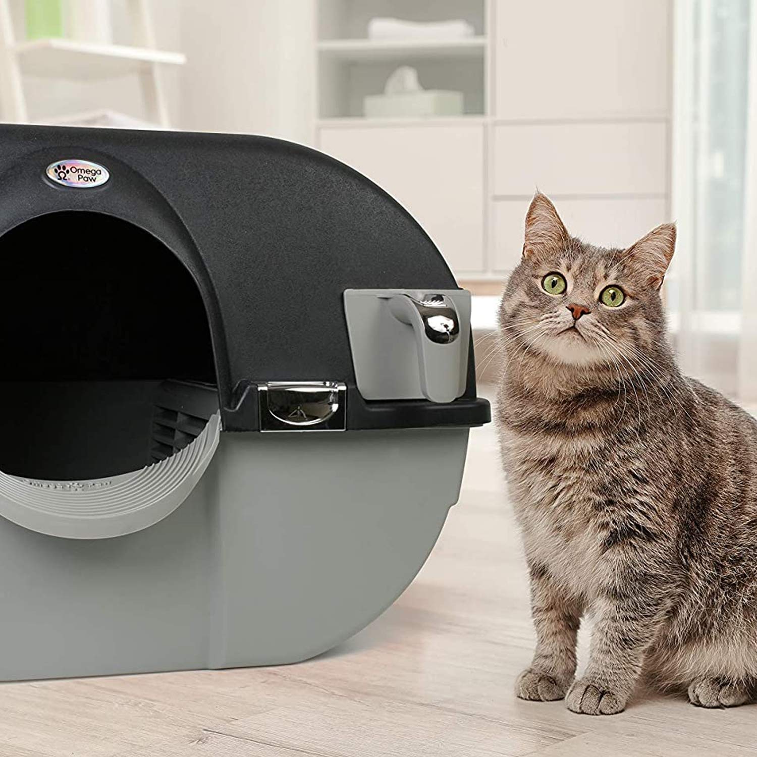 Caja de tamaño regular de Omega Paw, ideal para gatos pequeños y gatitos.