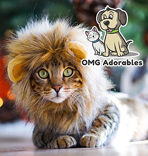 OMG Adorables melena de león para perros pequeños, mirada adorable