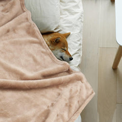 Onarway manta para gato 40x28, lavable, perfecta para cama o sofá.