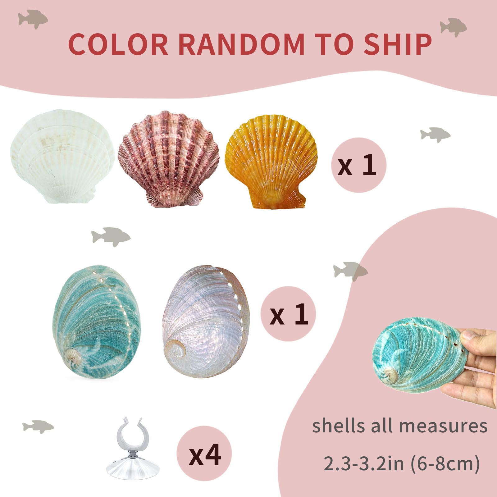 Oncpcare Betta concha instalación fácil, limpieza rápida y uso inmediato.