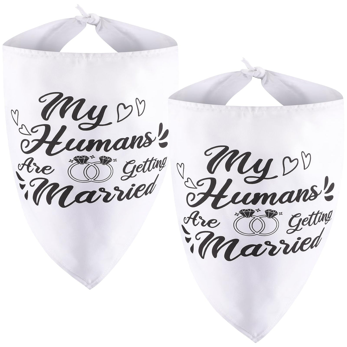 Bandana para perro de Ondware con lema de boda, ideal para fotos.