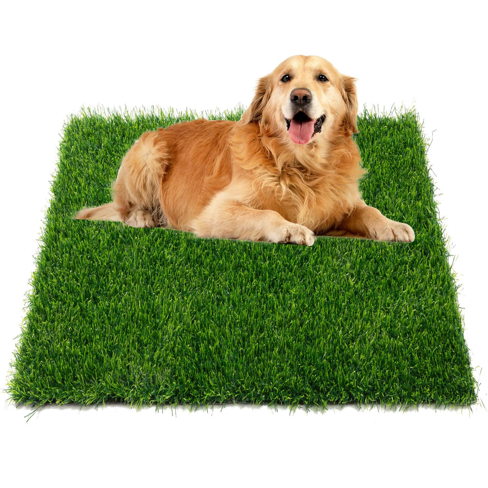 Ondware Grass Pad superficie realista para entrenamiento cómodo de perros medianos a grandes.