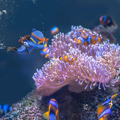 onesimcr decoracion acuario buzo movimiento crea dinamismo visual sin bordes afilados.