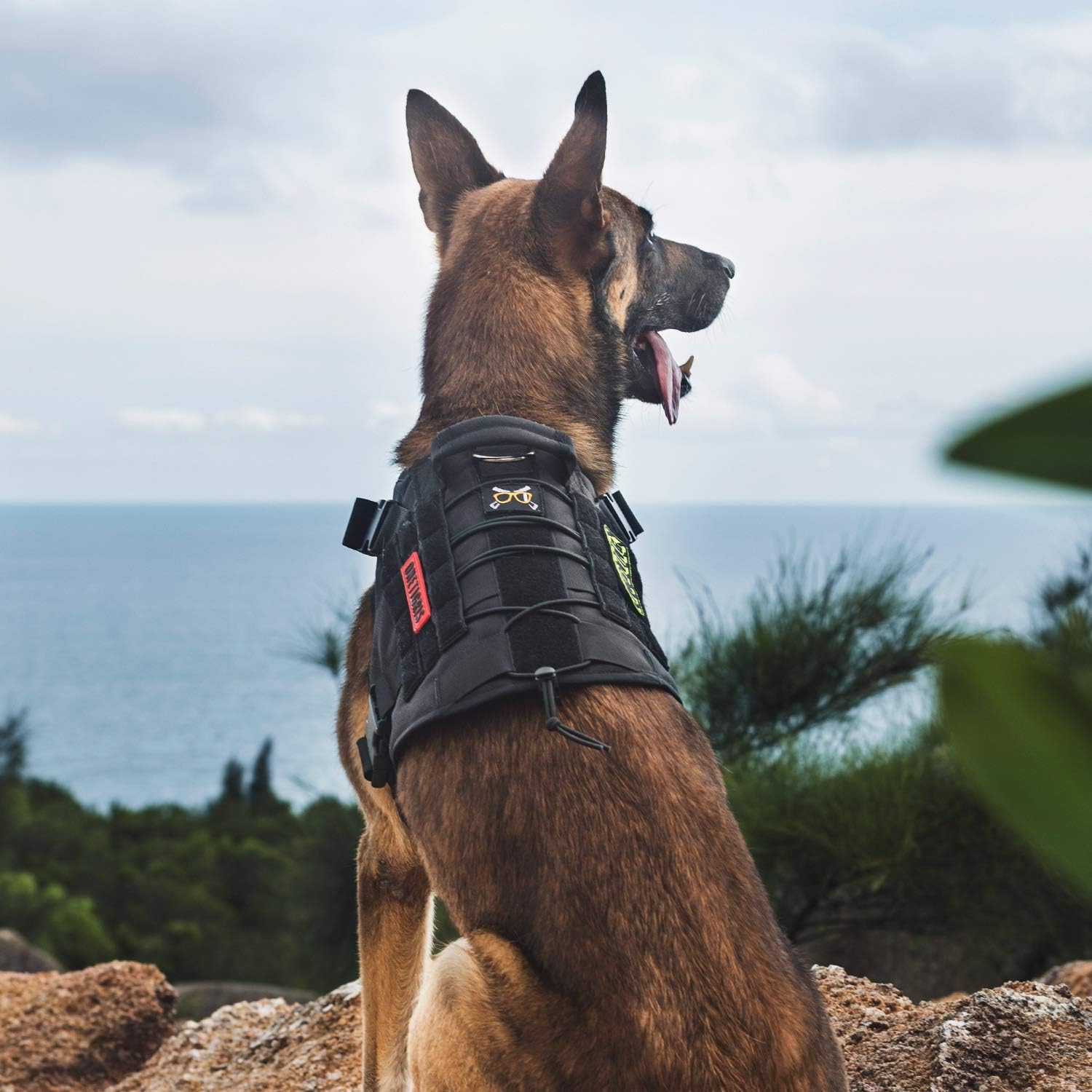 OneTigris arnés disponible en varios colores y tallas para adaptarse a tu perro.