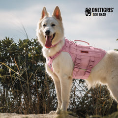 Arnés onetigris con MOLLE lateral para accesorios