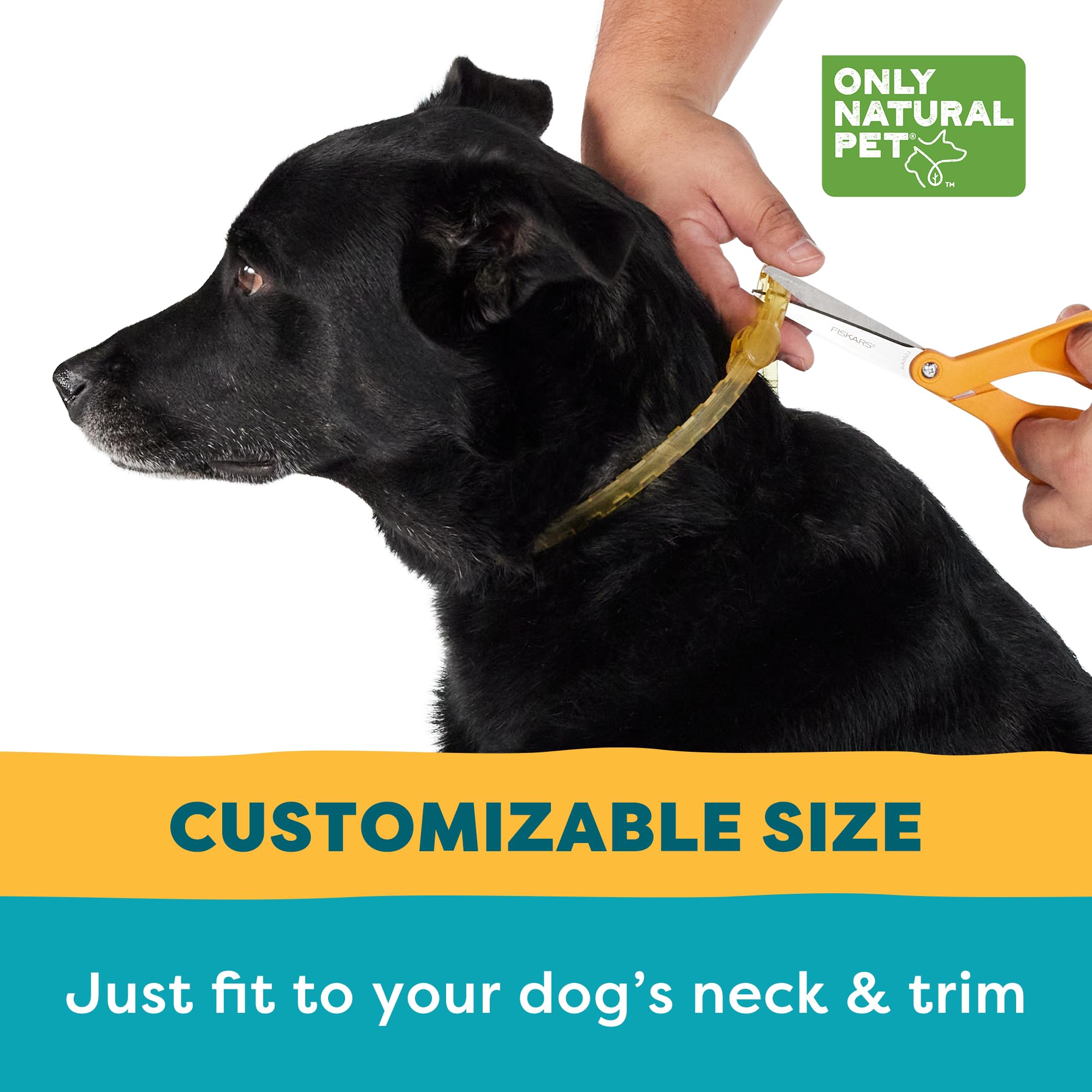 Only Natural Pet EasyDefense collar cuidado natural para perros.