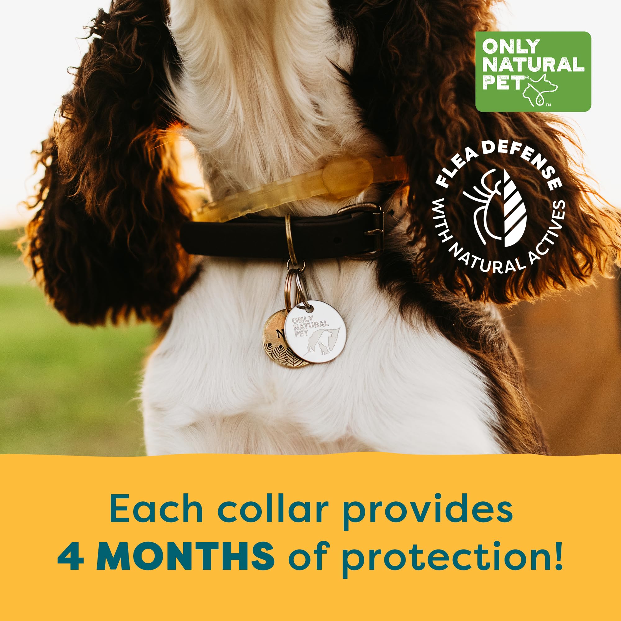Only Natural Pet EasyDefense collar dos paquetes para perros.