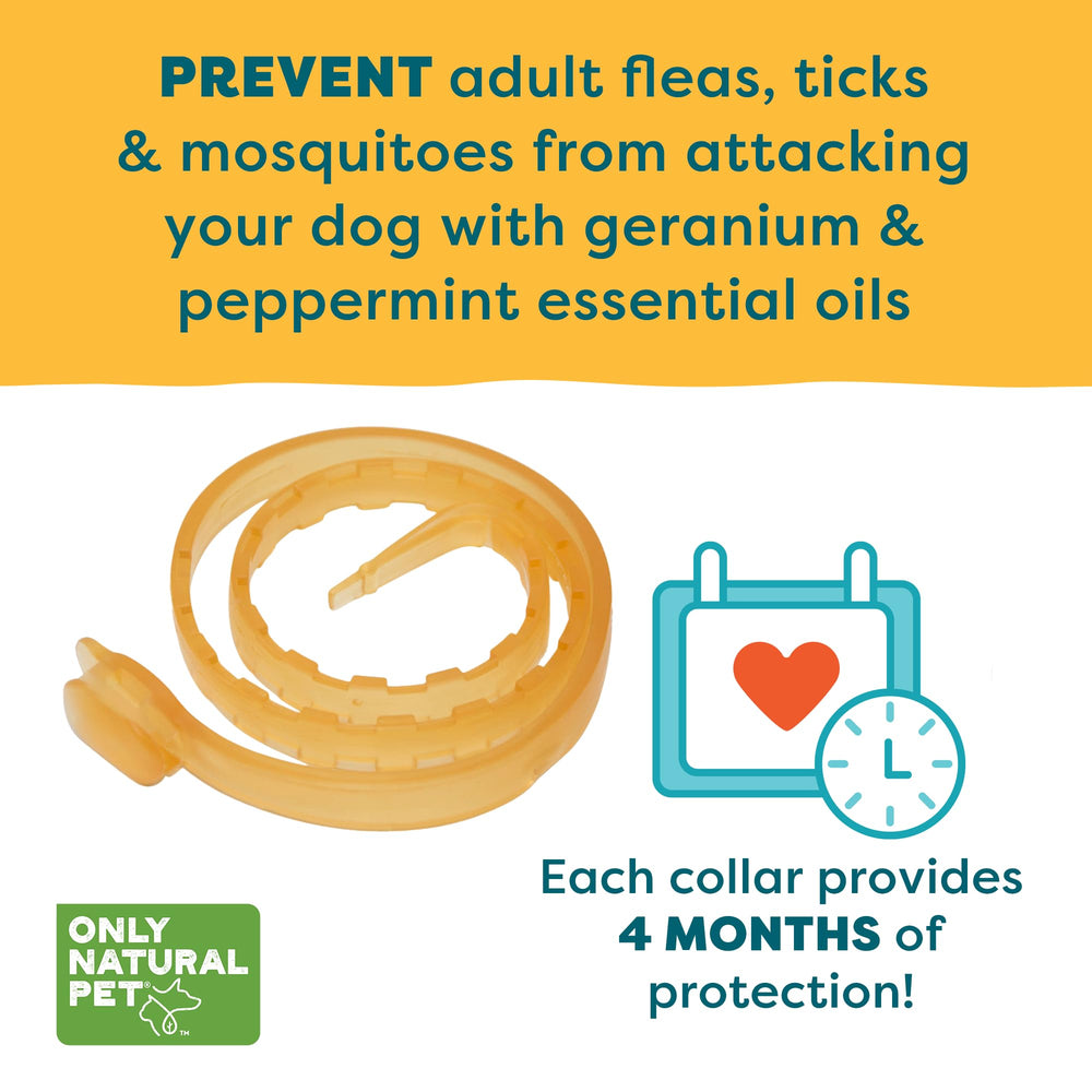 Only Natural Pet EasyDefense collar resistente al agua para perros.