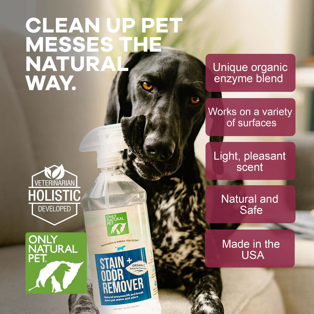 Only Natural Pet eliminador enzimático, uso interior para hogares con mascotas.