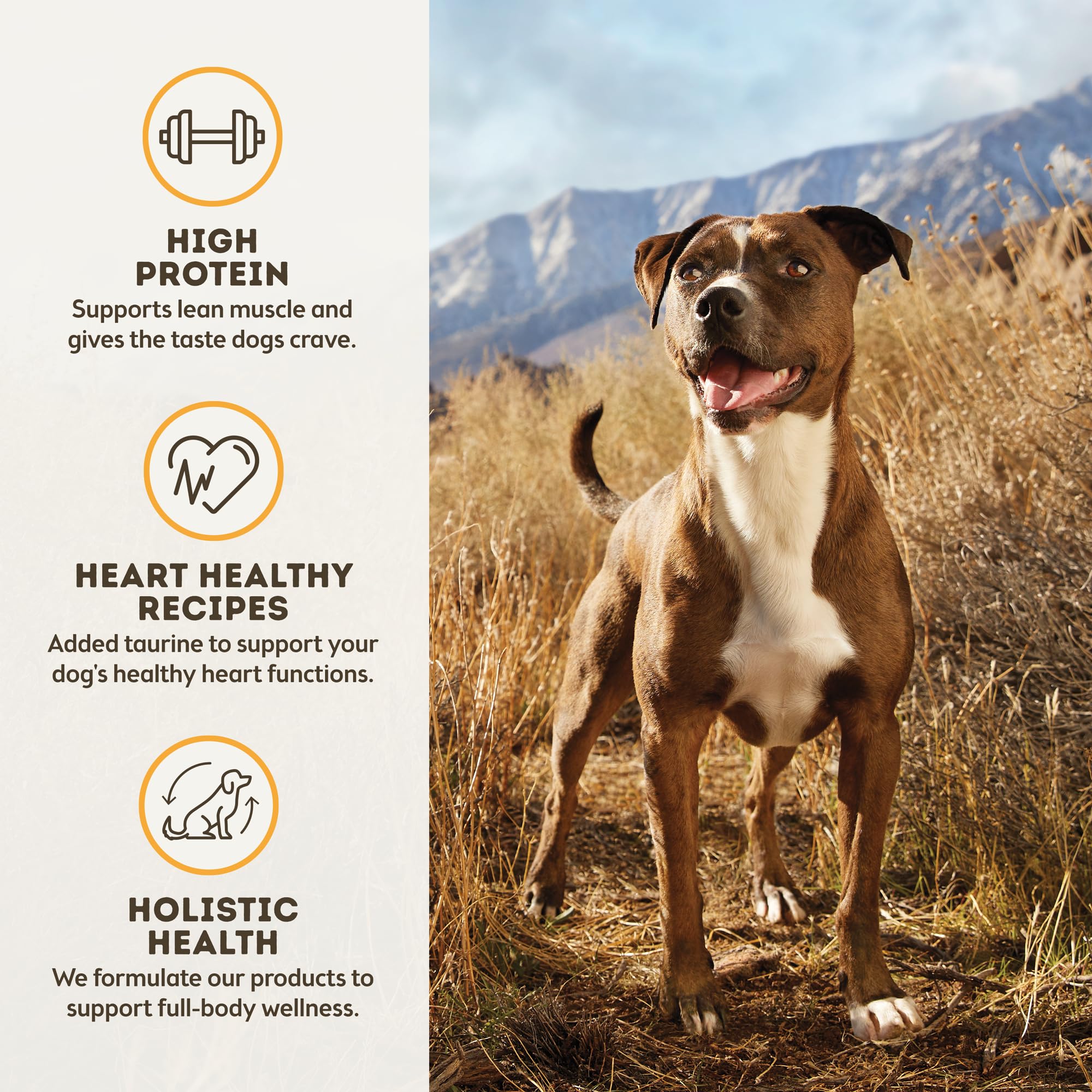 Receta de pollo de MaxBlends, textura suave para perros de todas las edades