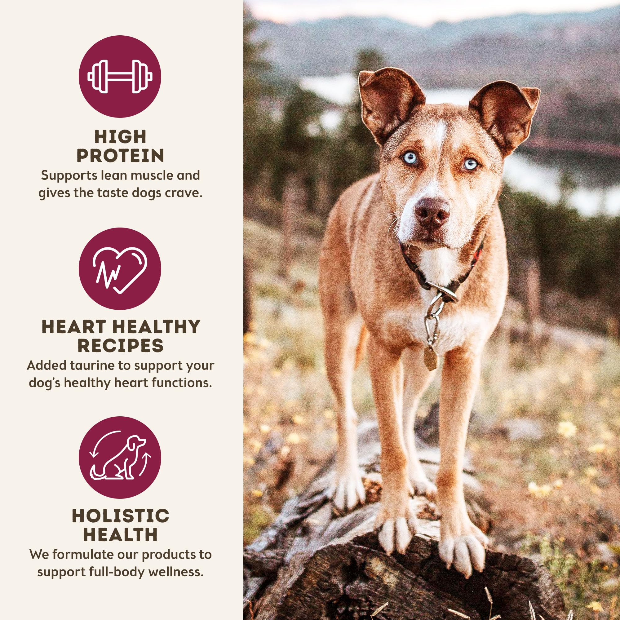 Only Natural Pet MaxMeat Holistic sin-granos para una dieta balanceada.