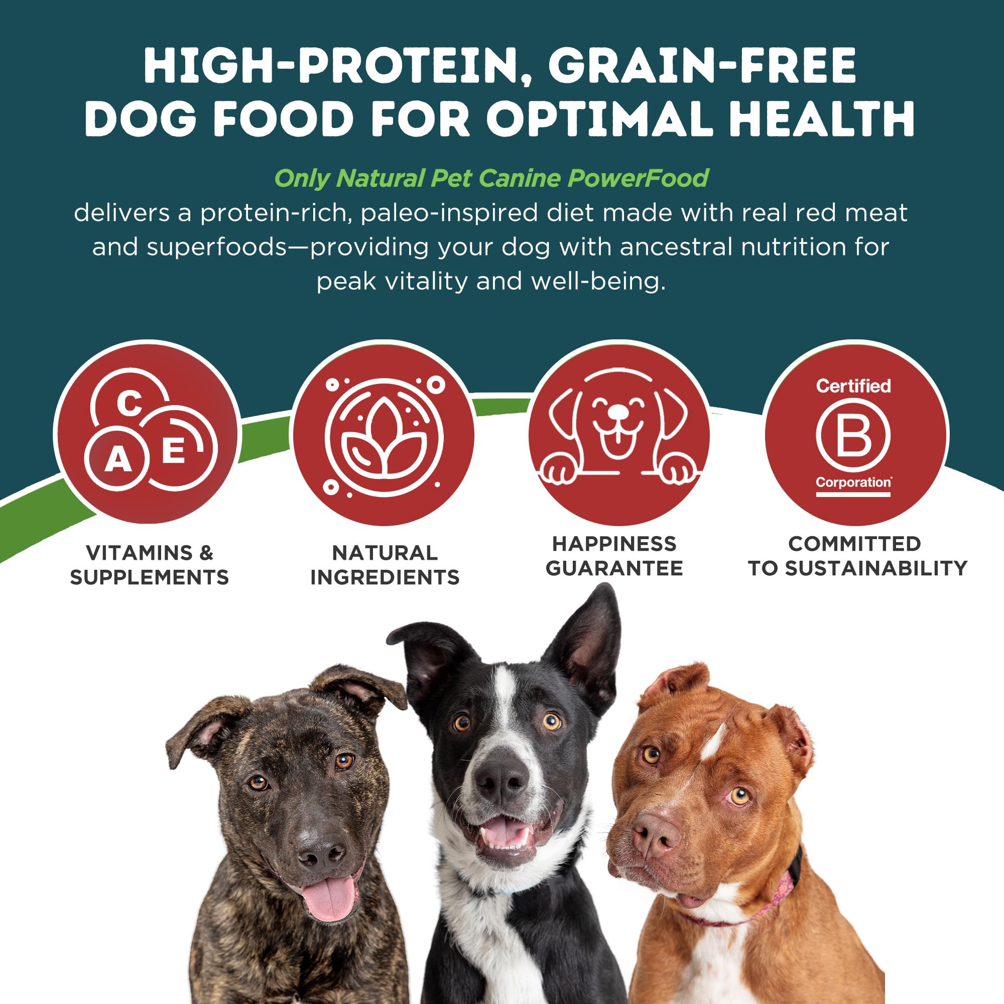 Only Natural Pet PowerFood - perro comiendo en tazón, experiencia sabrosa