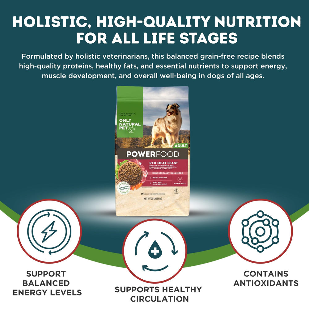 Only Natural Pet PowerFood - perro feliz en campo, disfrute al aire libre