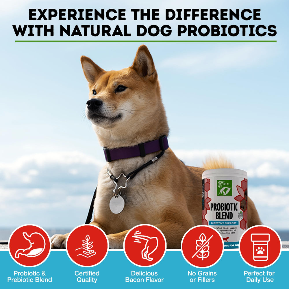 Only Natural Pet ofrece 2.5 mil millones de microorganismos bio‑disponibles por gramo.