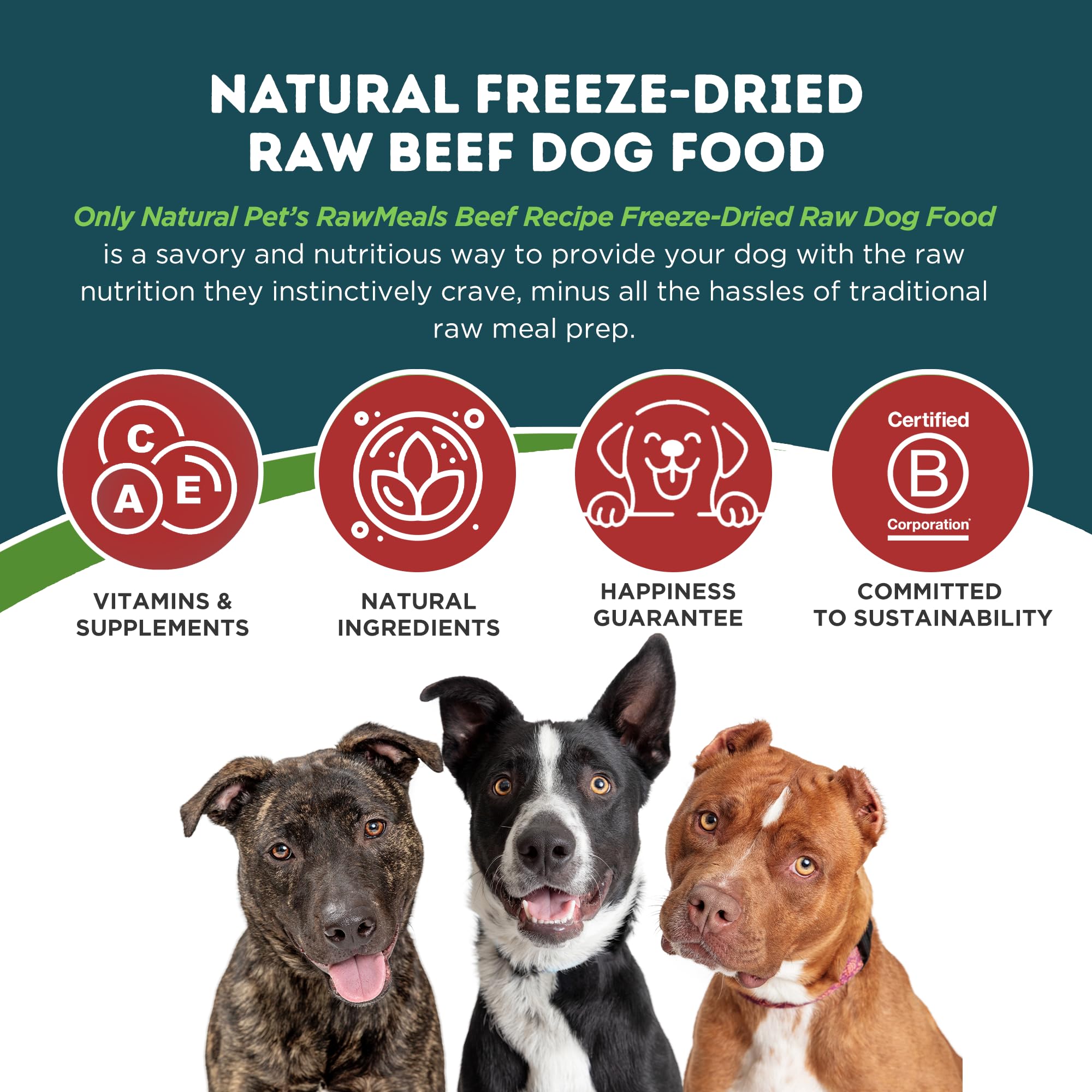 Only Natural Pet RawMeals Beef Recipe, rehidratado con agua tibia para consistencia agradable.
