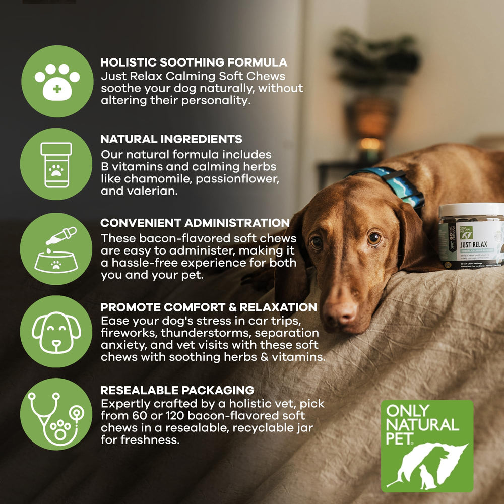 Just Relax de Only Natural Pet para perros, relajación diaria y bienestar