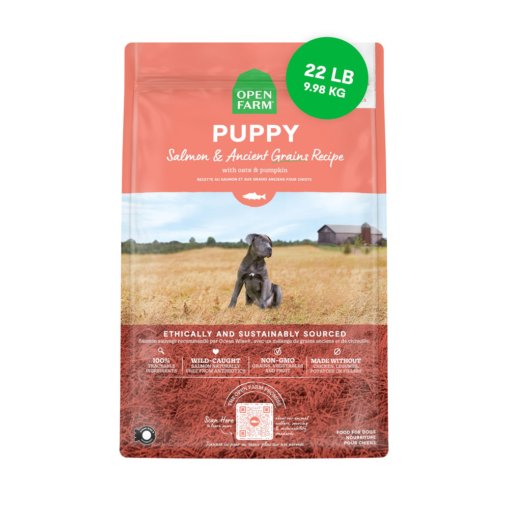 Open Farm alimento para cachorros con granos antiguos y salmón, tazón nutritivo
