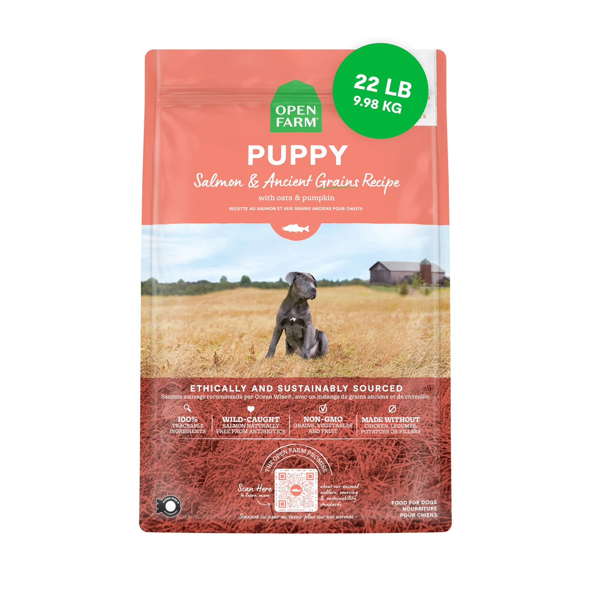 Open Farm alimento para cachorros con granos antiguos y salmón, tazón nutritivo